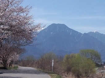 早春賦・有明山4月17日.jpg