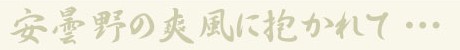 安曇野の爽風に抱かれて・・・| 安曇観光タクシーギャラリー